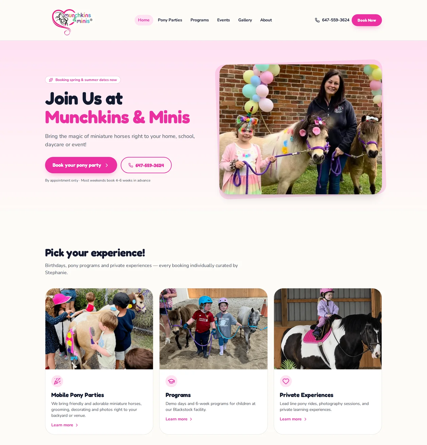 After: Compare the original website with the new Munchkins & Minis website.