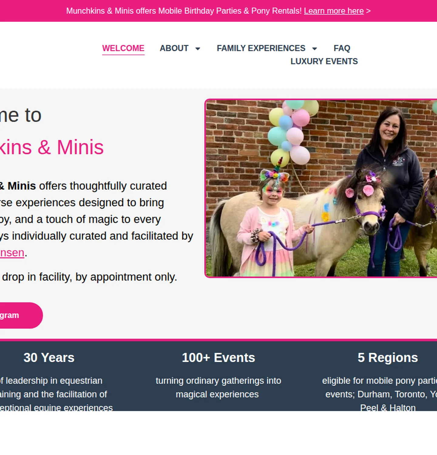 Before: Compare the original website with the new Munchkins & Minis website.