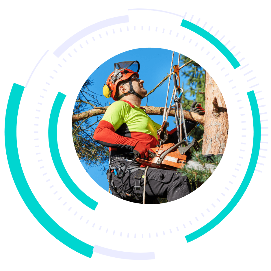 boost local arborist marketing - marketing services for arborists - marketing for tree service professionals