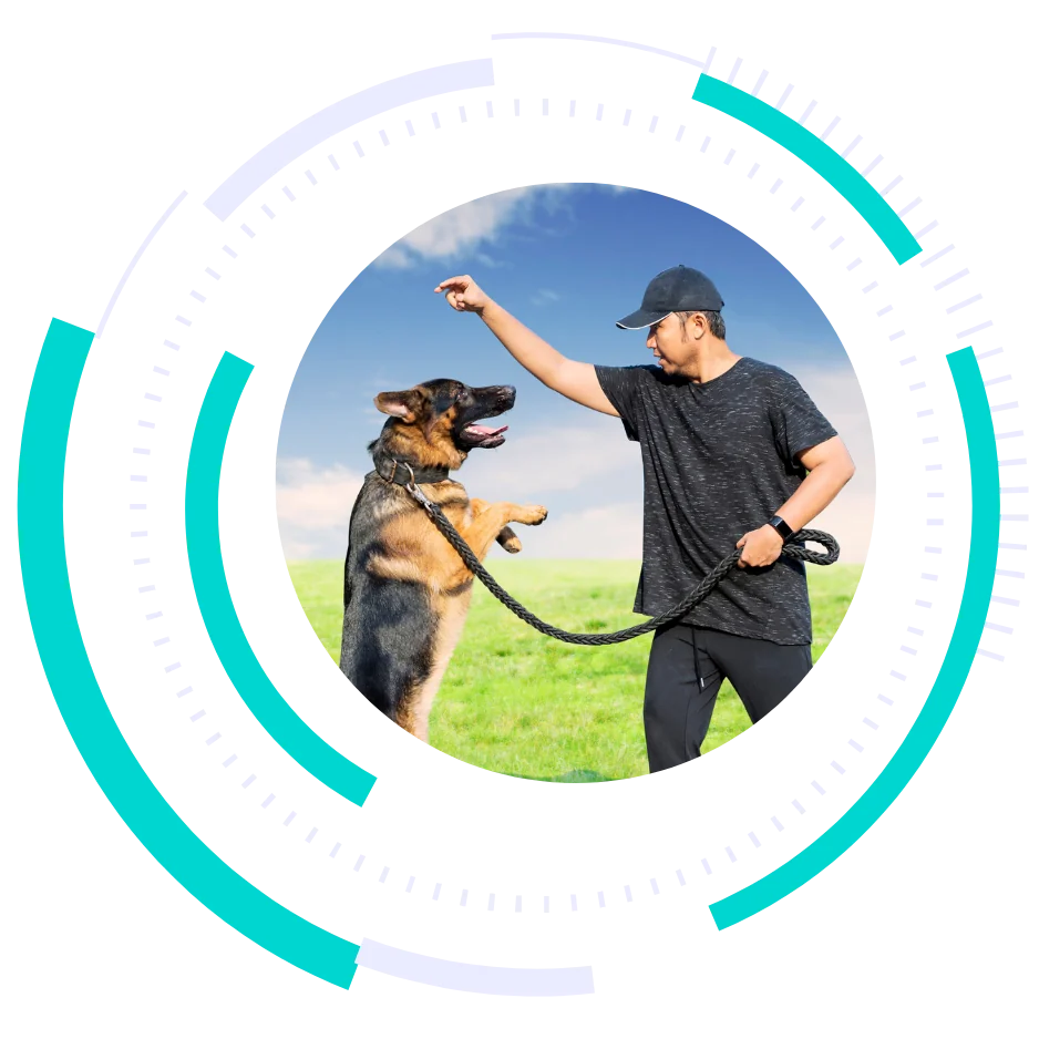 boost local digital marketing services for dog trainers - pet industry marketing