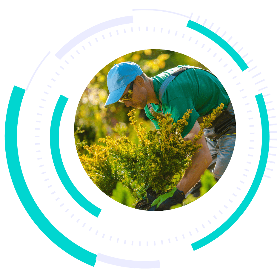 boost local landscaping marketing - marketing services for landscapers - marketing for landscapers