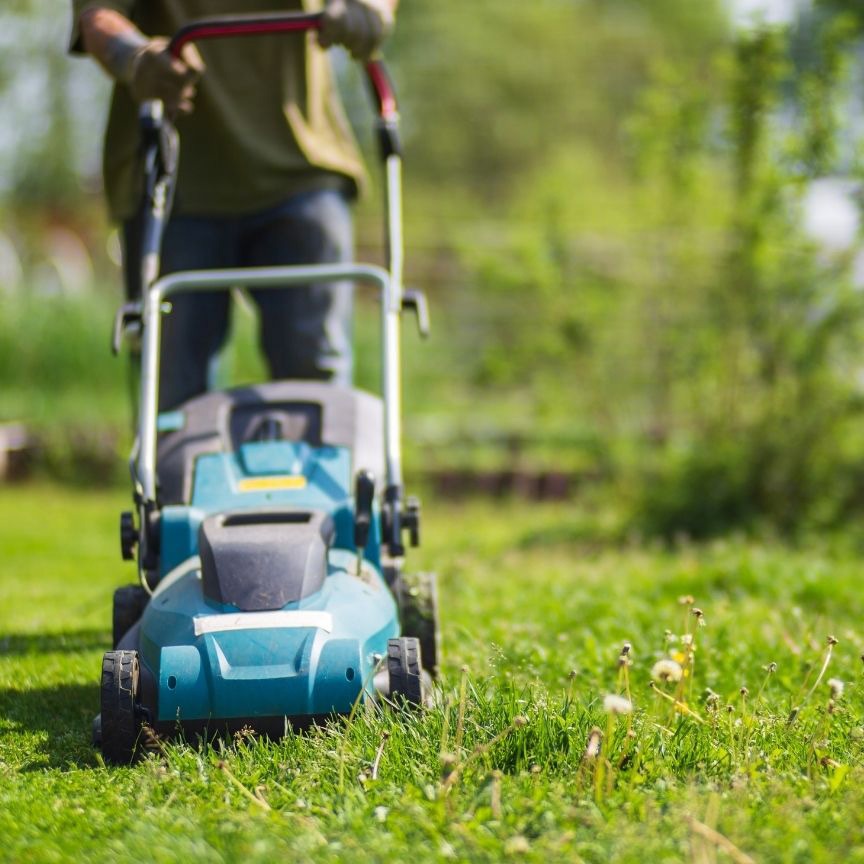 lawn care marketing