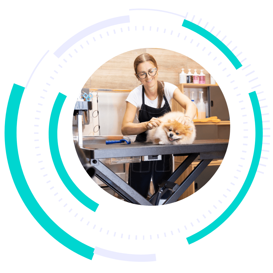 dog grooming marketing - marketing services for dog groomers - boost local small business marketing agency