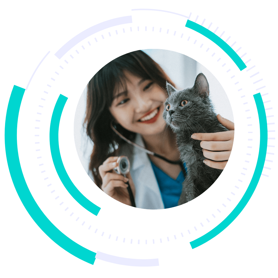 veterinarian marketing - marketing services for veterinary clinics - boost local small business marketing agency