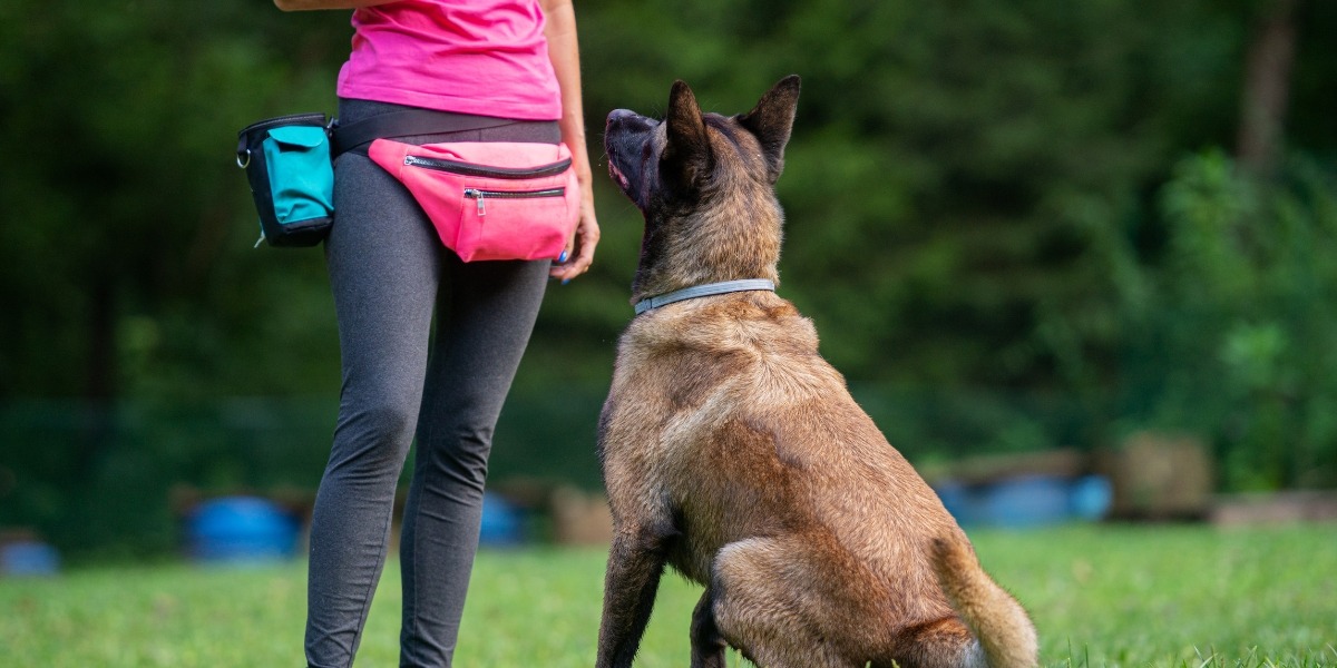 dog trainer marketing - marketing for dog trainer - dog trainer with client