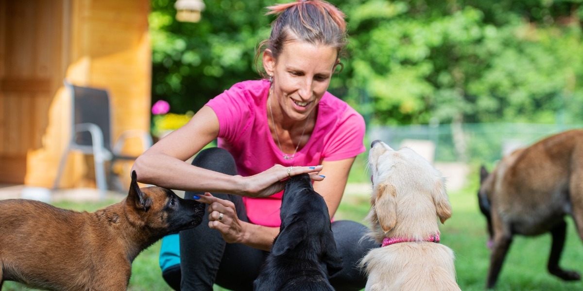 marketing for dog trainers