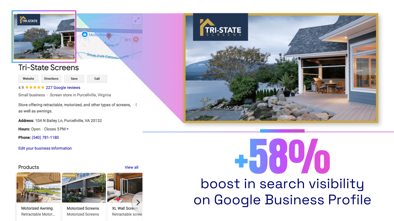 Google Business Profile Results