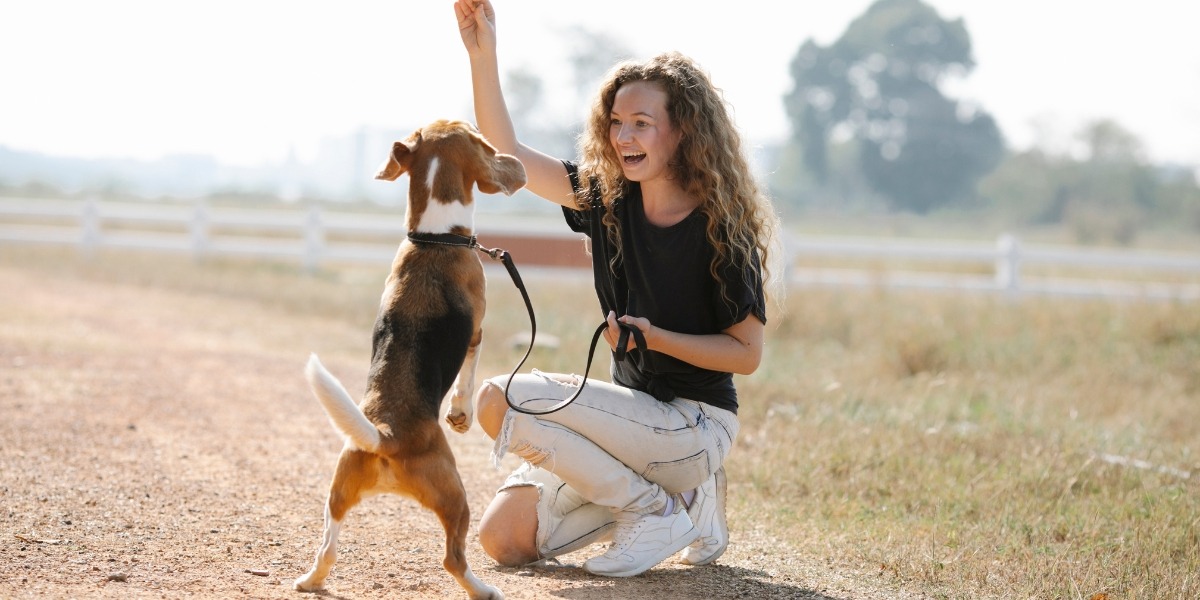 dog trainers