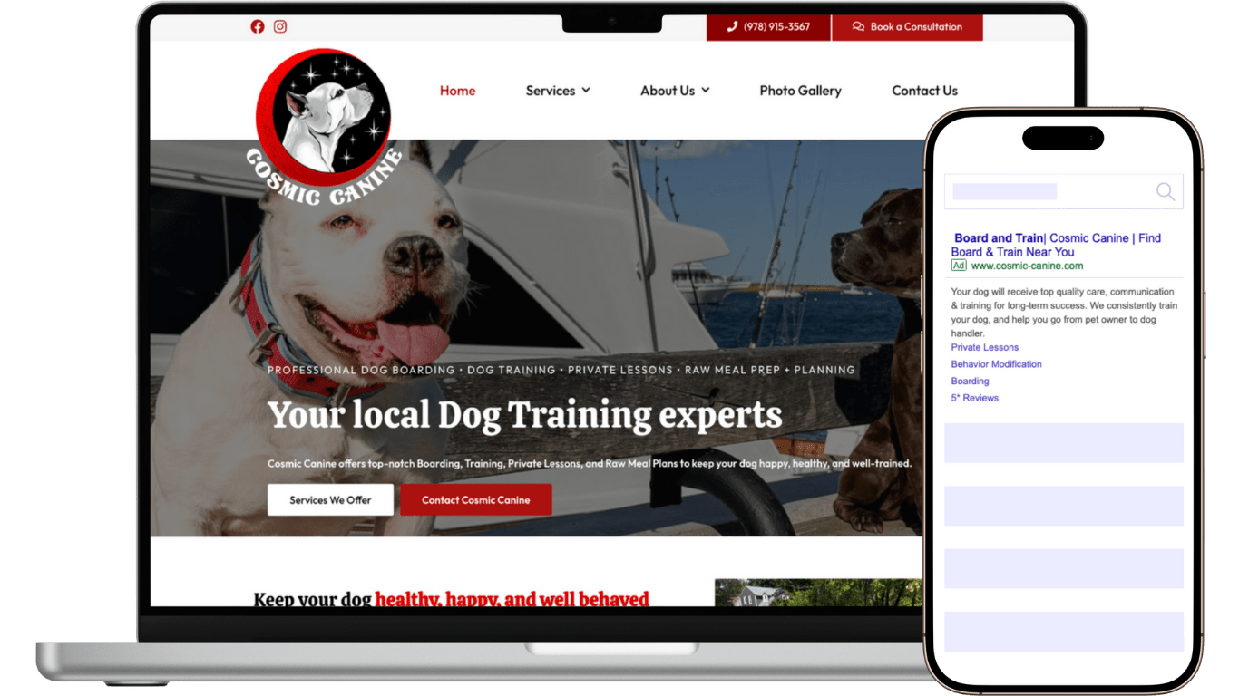 cosmic canine - pet care marketing - dog trainer marketing
