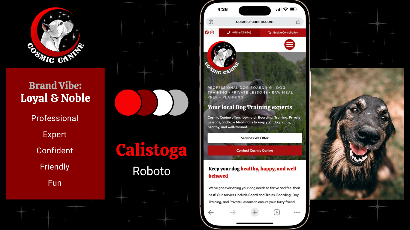 cosmic canine - pet care marketing - dog trainer marketing