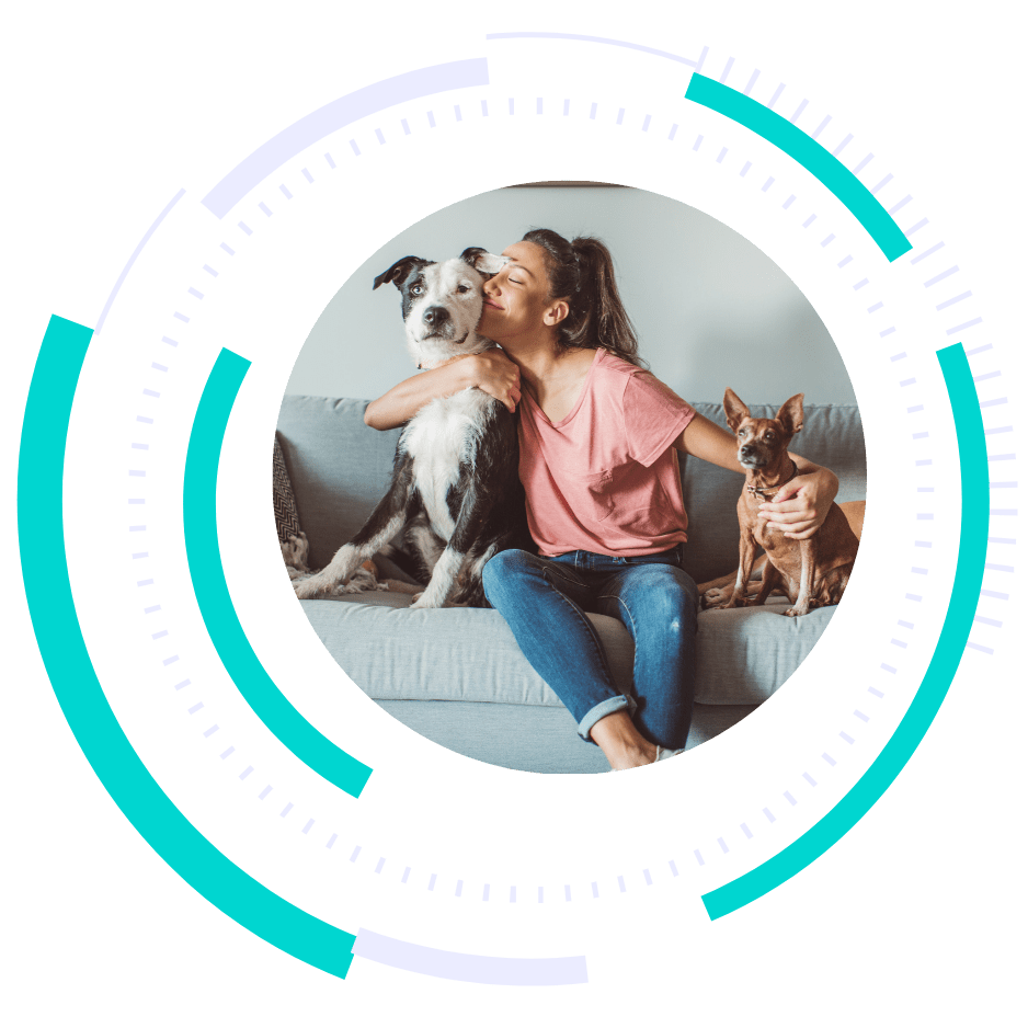 pet sitting ads