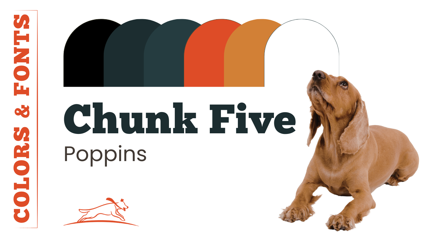 mutthaviorist - dog trainer marketing case study - branding